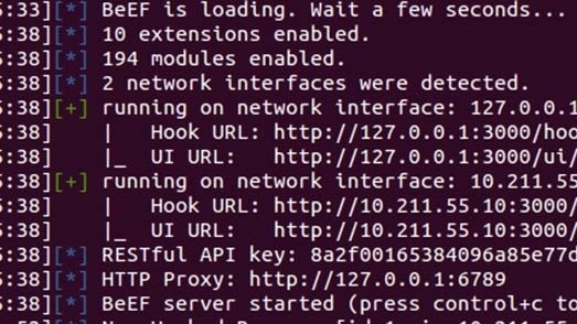 BeEF's console in action
